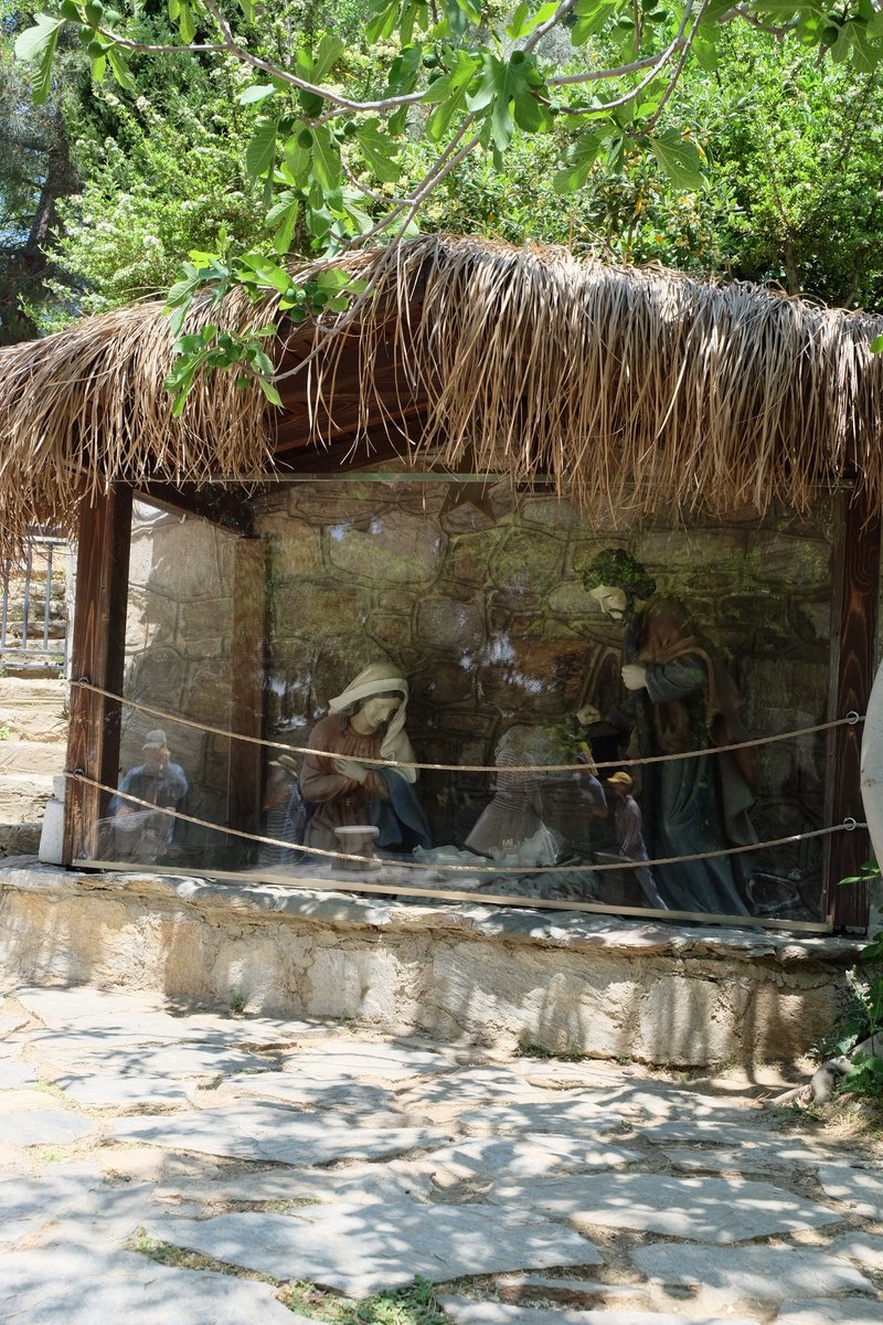 Lives in Türkiye tweet media