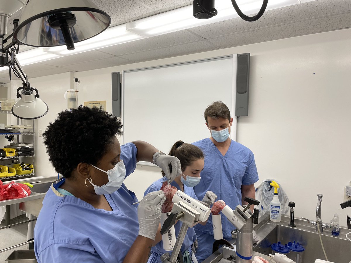 jill_beveridge's tweet photo. Thank you RIHOF/@UnivOrtho for hosting a joint @FlemingLab_ACL &amp; Beveridge lab training and data collection week! https://t.co/4sToXkjnVU