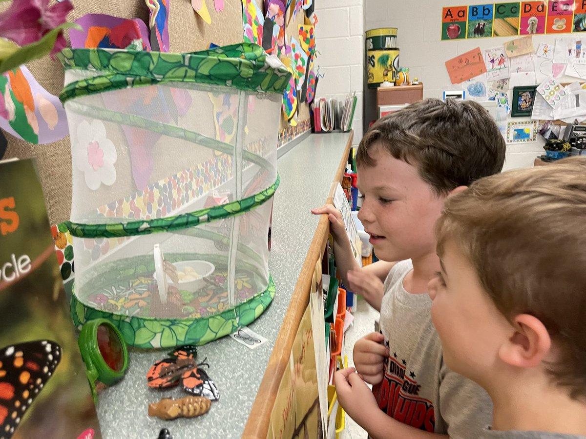 lcpsbworkman's tweet photo. The arrival of our butterflies is here!! Such excitement!! #MTVMoose https://t.co/EJtKr54AGw