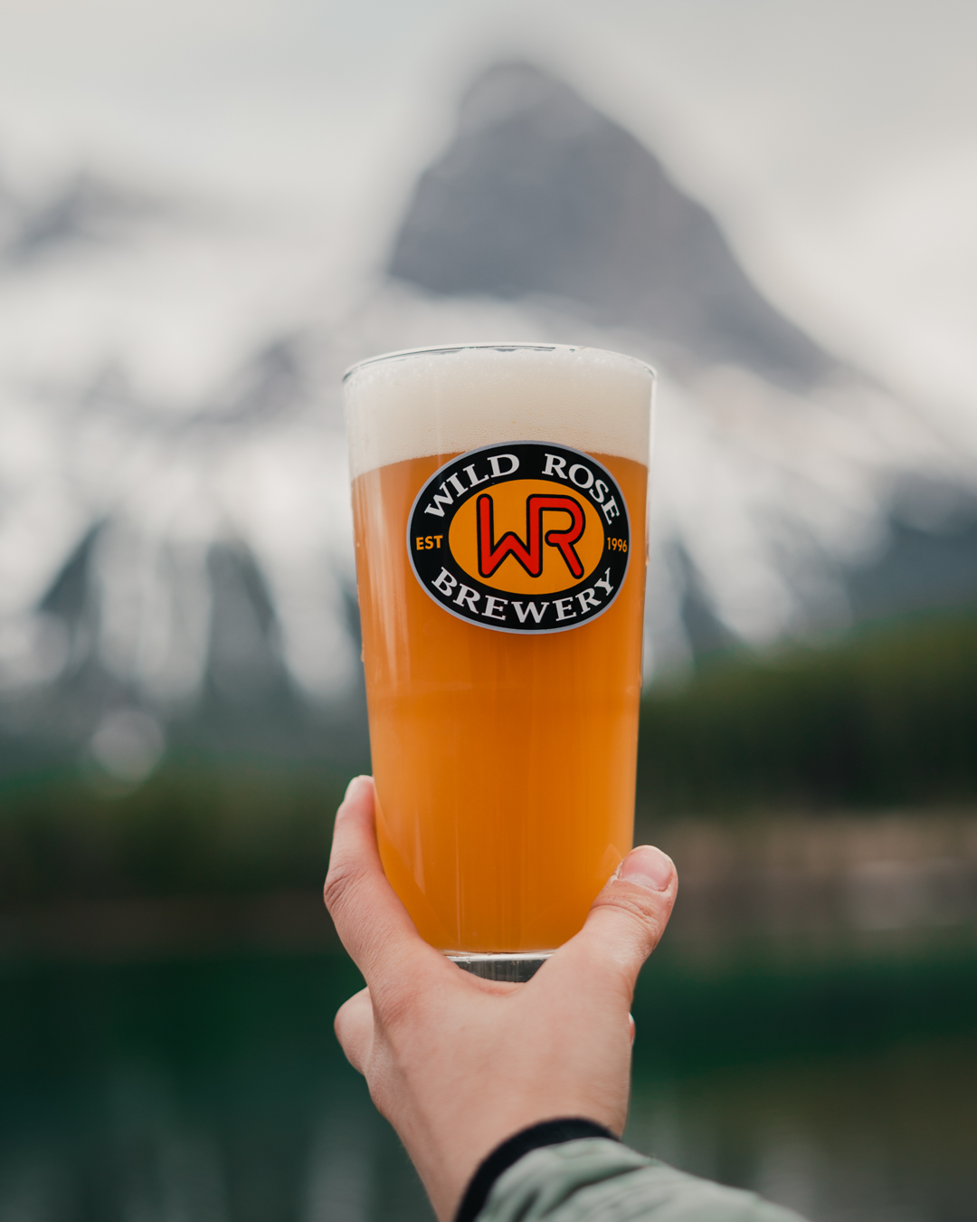 WILD ROSE Brewery ~ Calgary Beer Breweriana Coaster Alberta CANADA Since 1996 