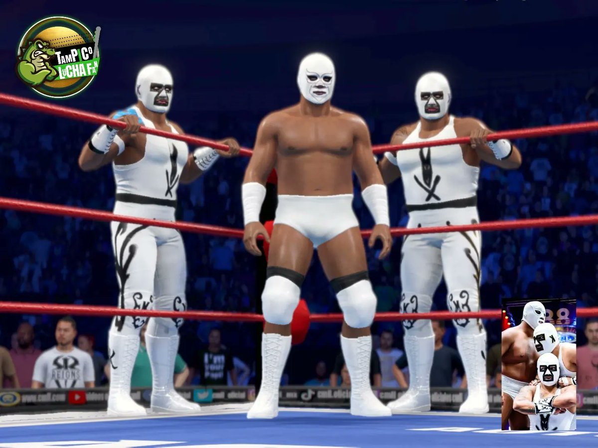 Tampico Lucha Fan tweet media