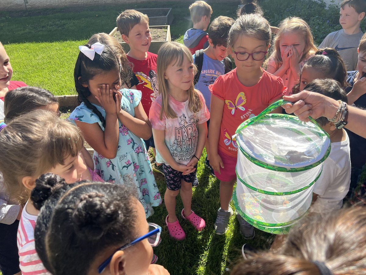 lcpsbworkman's tweet photo. Setting the butterflies free! Such joy to hear the laughter of such excited children!! #MTVMoose https://t.co/bLekXDE6od
