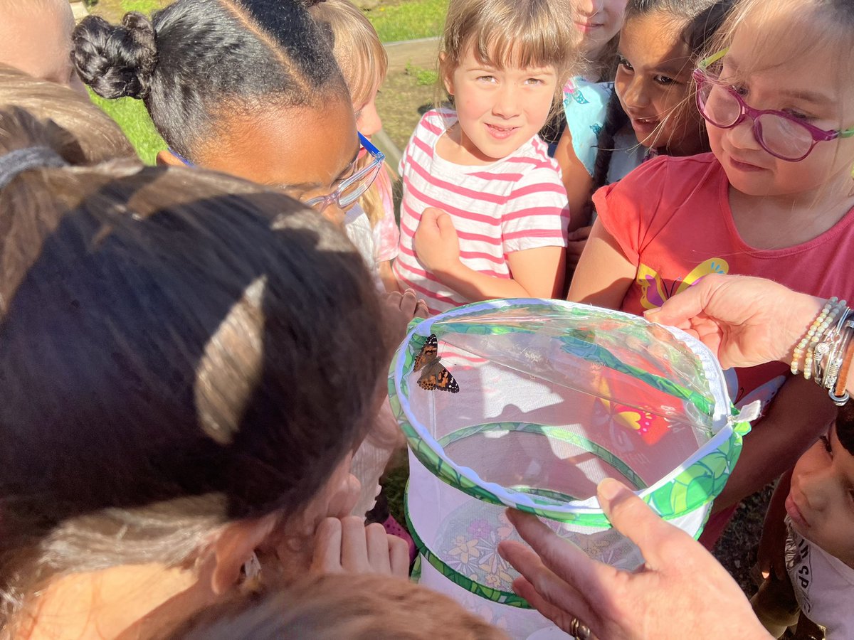 lcpsbworkman's tweet photo. Setting the butterflies free! Such joy to hear the laughter of such excited children!! #MTVMoose https://t.co/bLekXDE6od