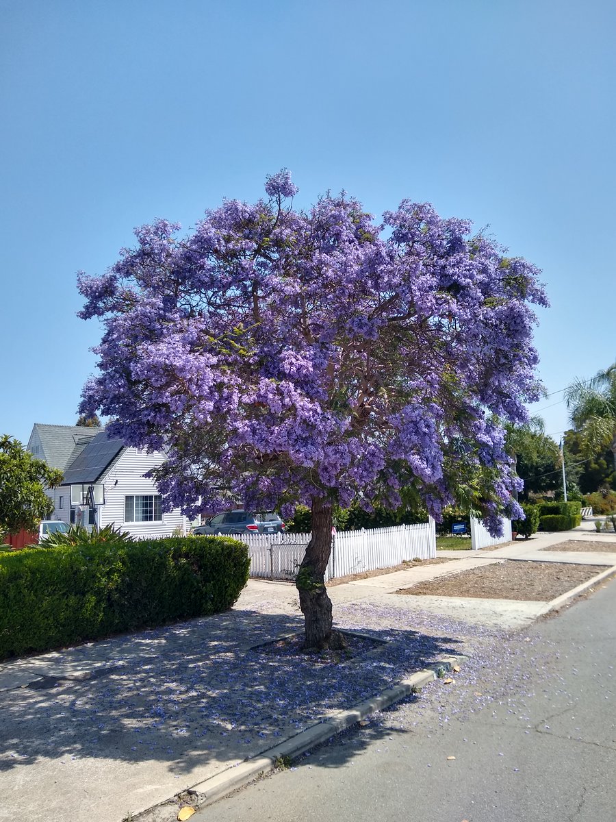 John P Anderson tweet media