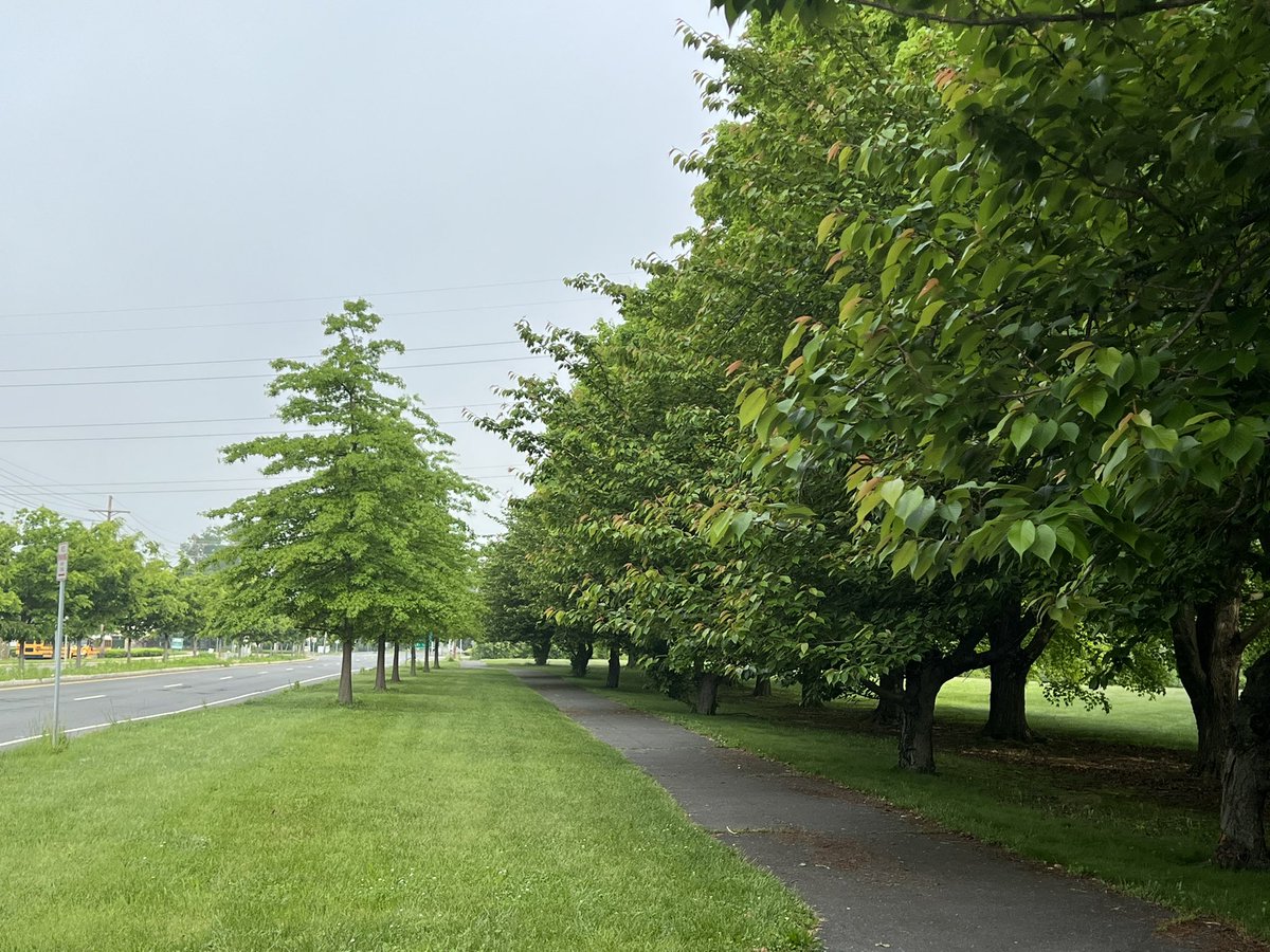 100KSteps1's tweet image. Worth everyone of the 7,810 steps it took to see this peaceful scene #100KSteps