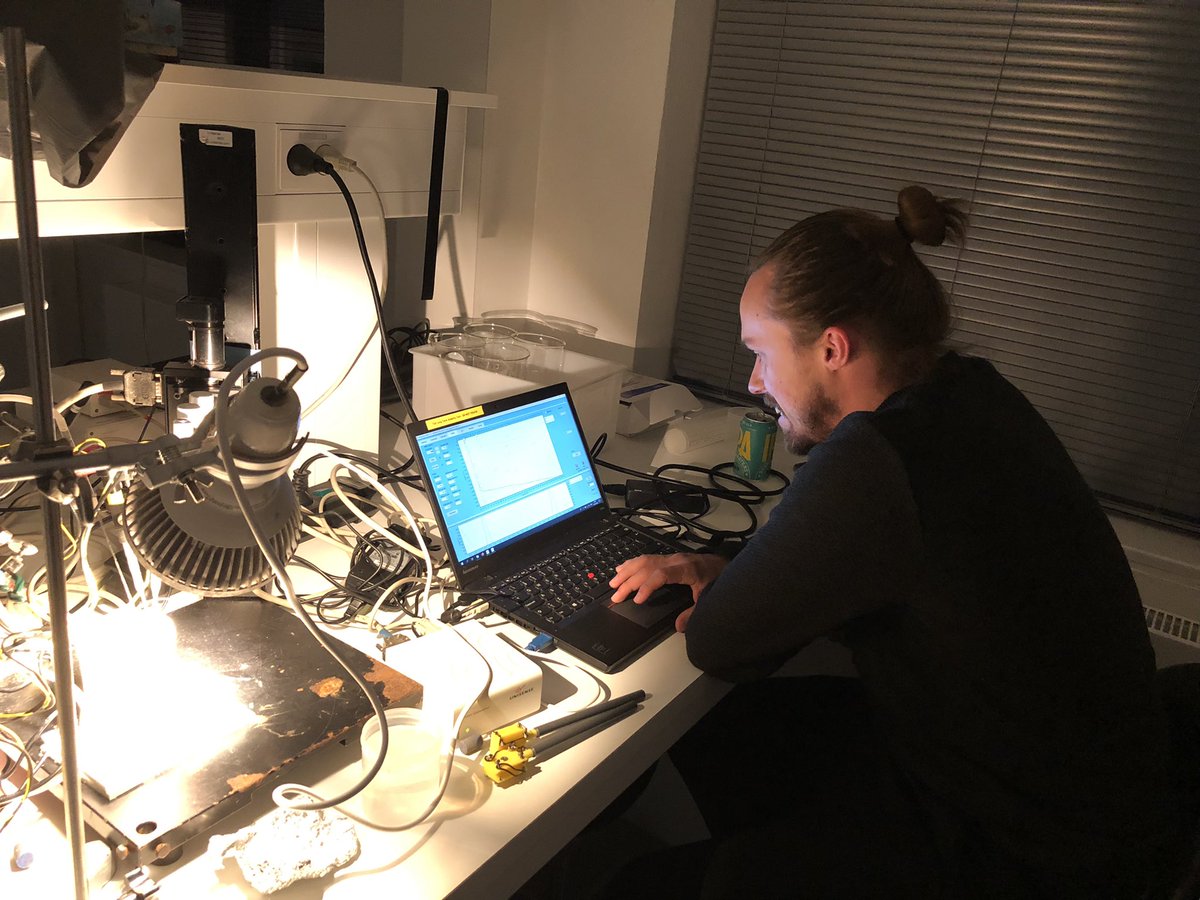 KE_Brodersen's tweet image. #microsensor2022 Late night dance with microsensors 🕺 @fa_steininger