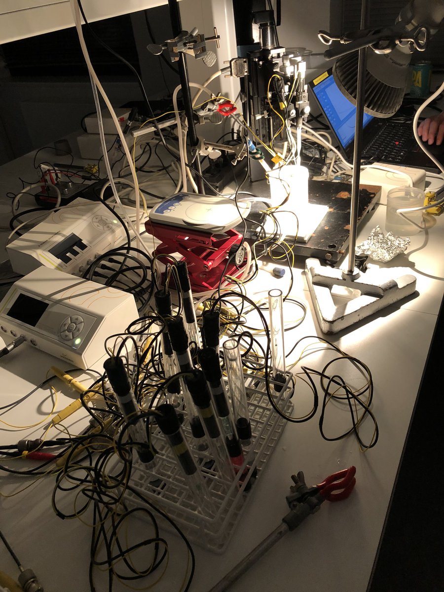 KE_Brodersen's tweet image. #microsensor2022 Late night dance with microsensors 🕺 @fa_steininger