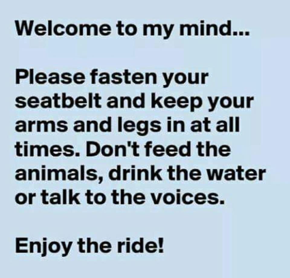 Dave 🇬🇧 (@davejordan2019) on Twitter photo 