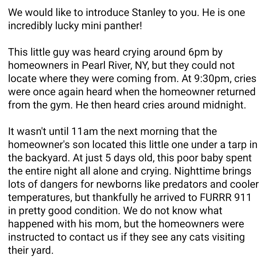 furrr911's tweet photo. https://t.co/qn4tXArr8u