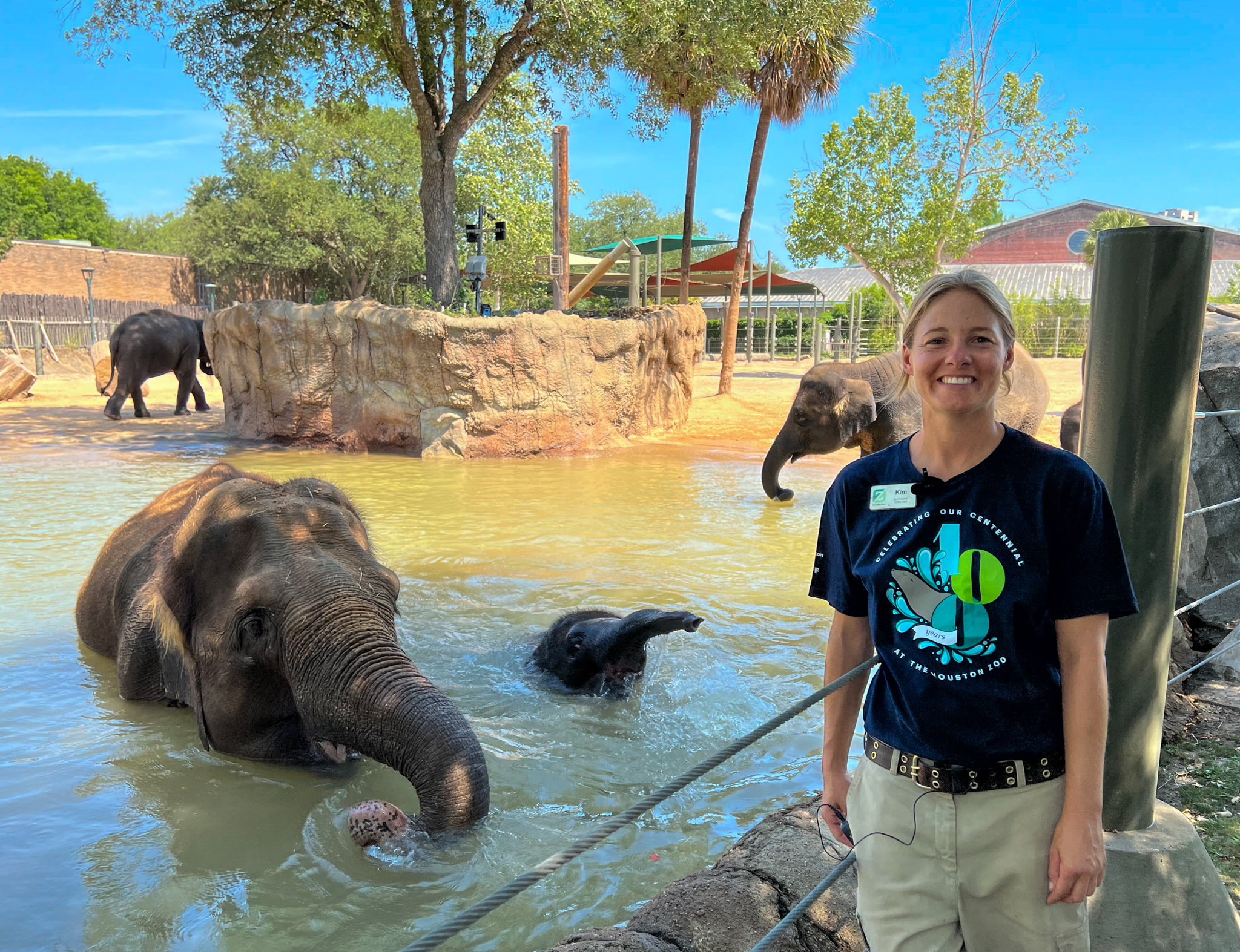 Houston Zoo on Twitter "🐘 💦 Teddy celebrated his first birthday with a pool party this week! In