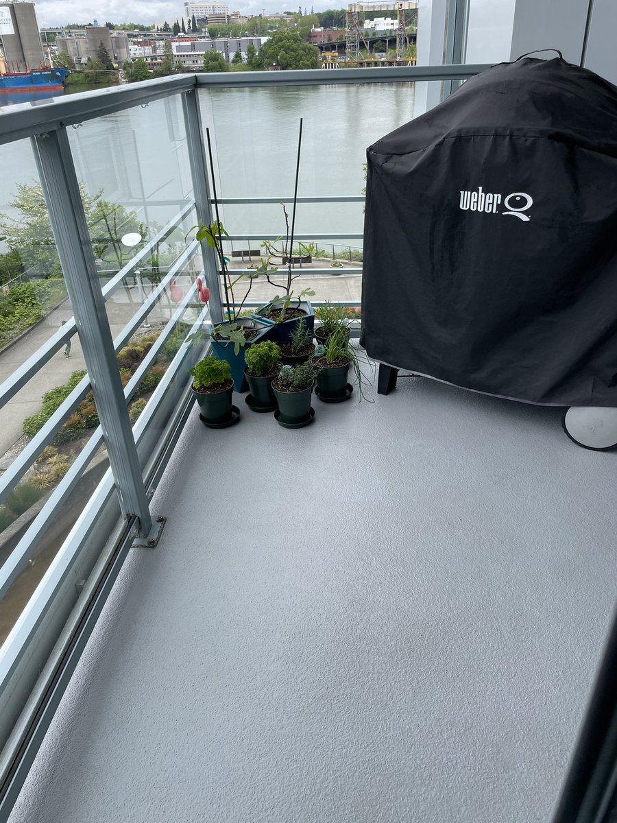 NicolaMac's tweet image. My trusty Stinger hasn’t let me down yet. #balconycleaning