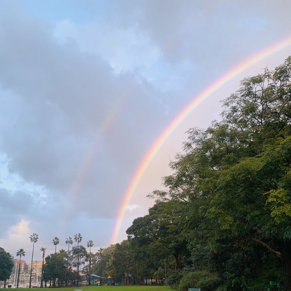 Jane Manning tweet media