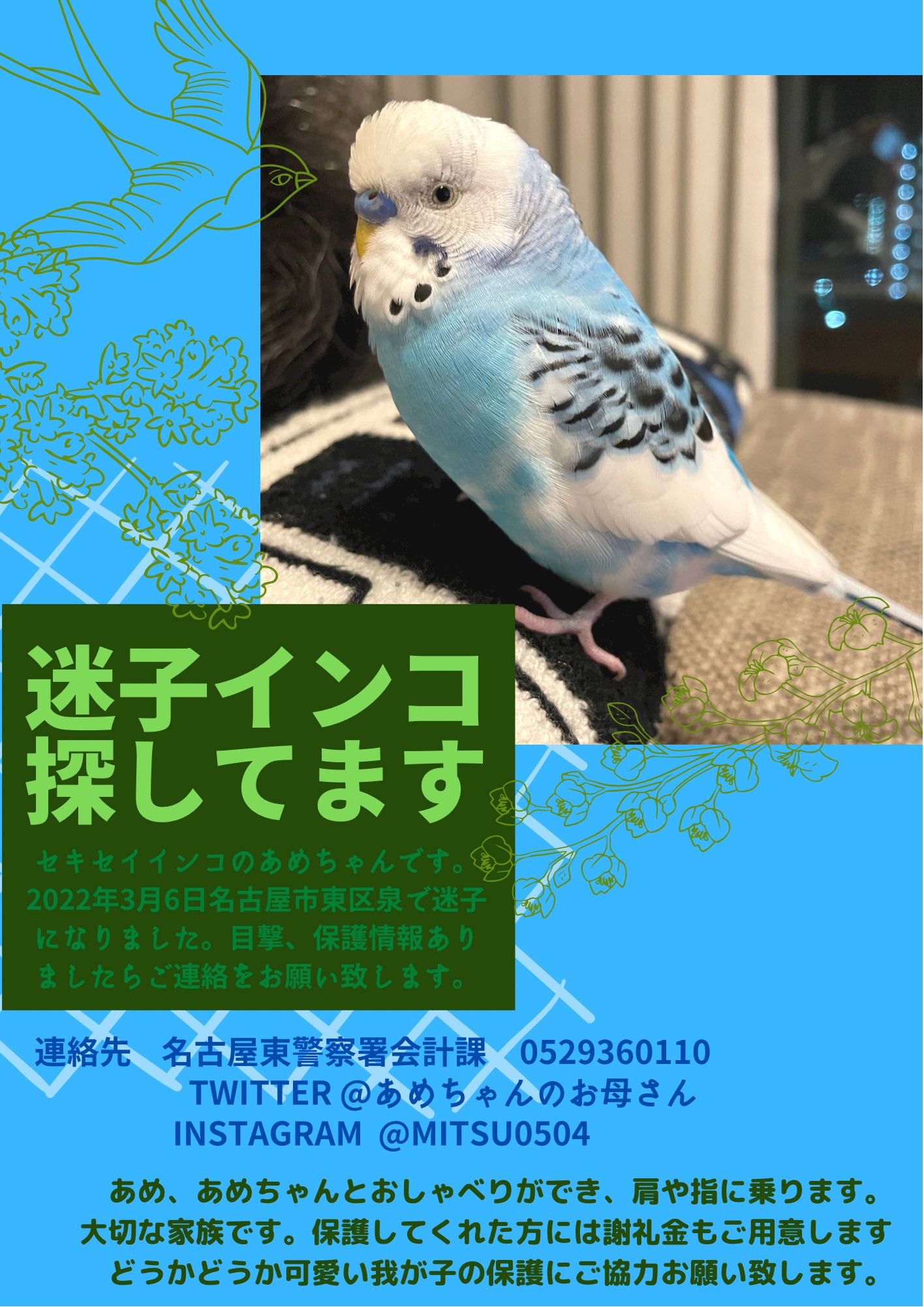 値段が激安 2個セット アキクサインコ イエロー ピンク ルチノー 指のりインコ 2f78a9 最安値に挑戦 Www Cfscr Com