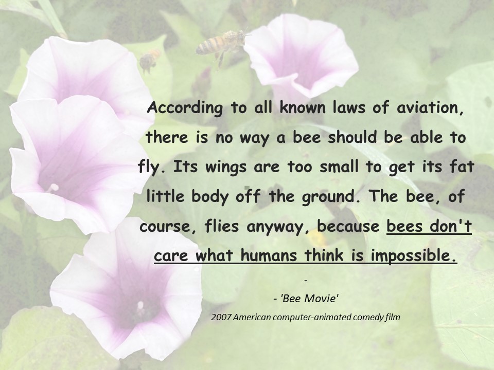 Just found this as the "quote of the day" #WorldBeeDay #bees  🐝🐝🐝