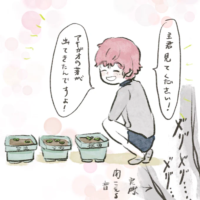 親知らずを抜いてる時の頭の中 