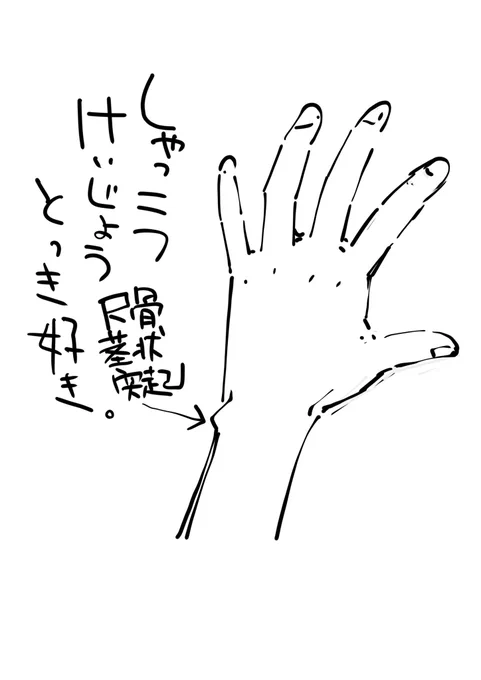 マニアックなんですが、手の骨の尺骨形状突起がはっきりしてる人とか絵とか見るの好きなんですよ。 