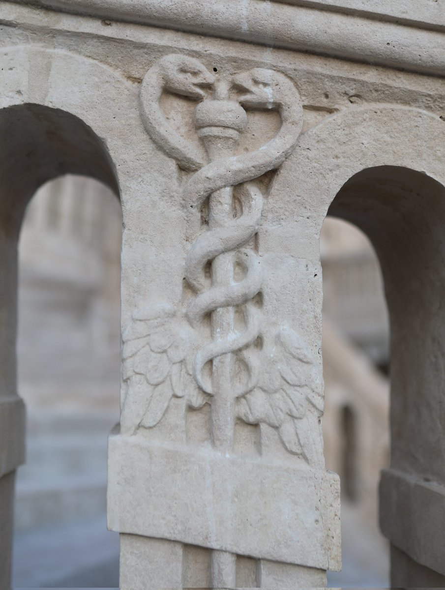 CFontainebleau's tweet photo. 🔴 𝗗𝗘𝗦 𝗔𝗥𝗧𝗜𝗦𝗧𝗘𝗦 🏅 | La restauration de l'escalier en Fer-à-Cheval est une démonstration unique de la qualité des savoir-faire des artisans et ouvriers des multiples entreprises qui sont intervenues sur ce chantier historique. 🇨🇵

𝗗𝗲 𝘃𝗿𝗮𝗶𝘀 𝗮𝗿𝘁𝗶𝘀𝘁𝗲𝘀. https://t.co/ESJxaDteTe