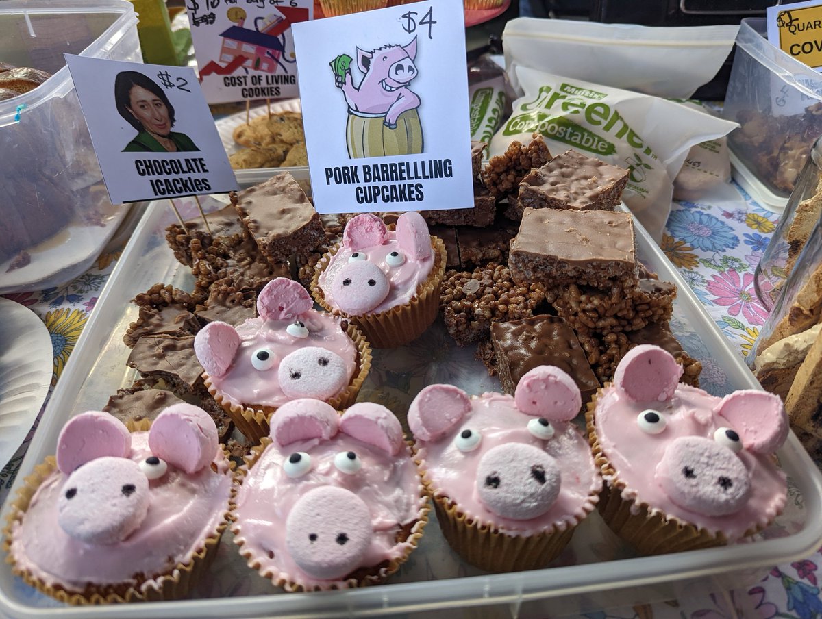 They may look sweet but these cheeky piggies could sway the election 🐷 There's loads of amazing sweets at the Camdenville cake stall to go with your #democracysausage!