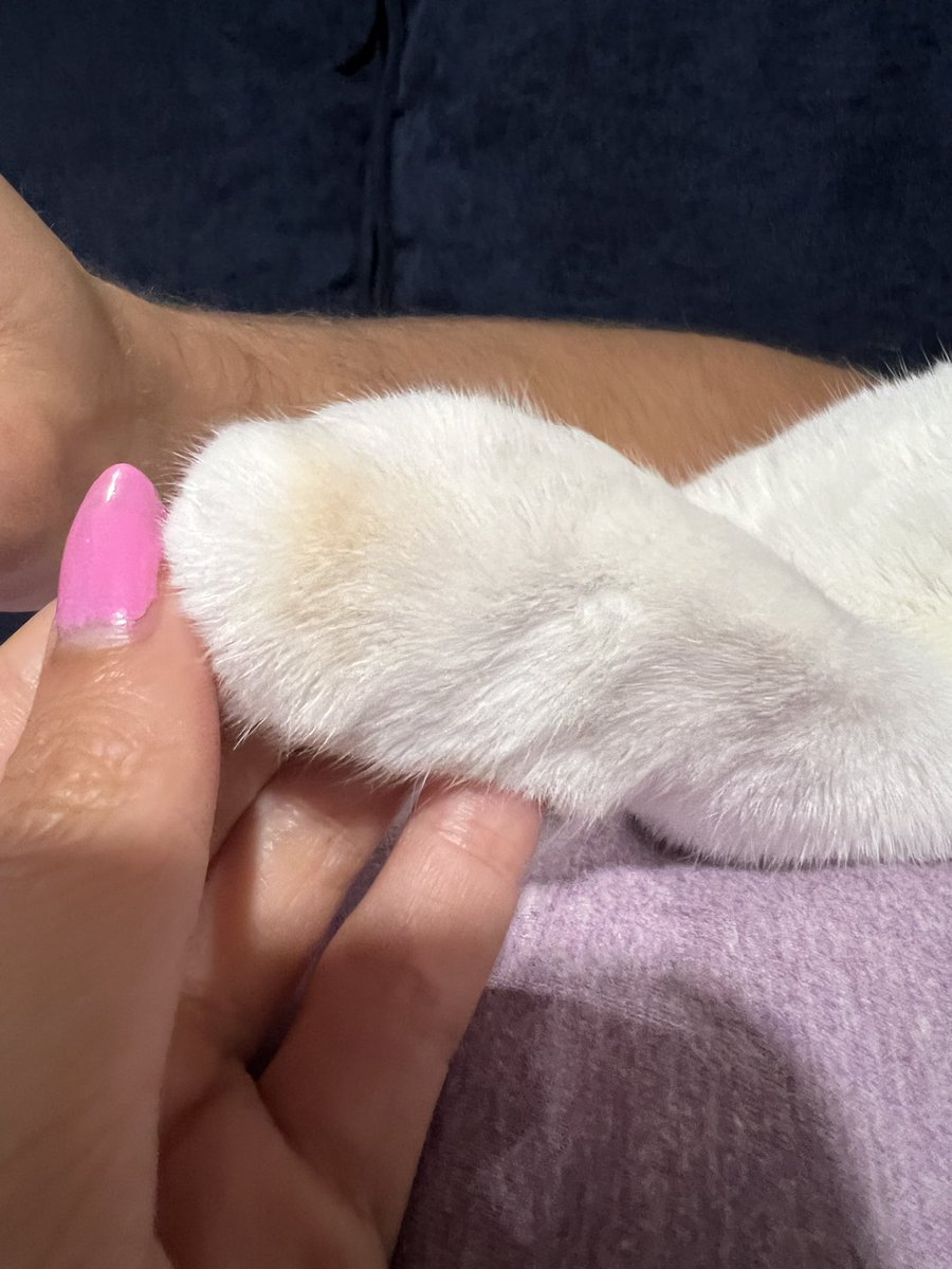 fatfatpankocat's tweet photo. Whoever designed these things needs a raise https://t.co/e4kZCVb97n