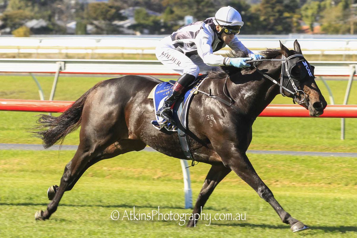 Terry Hann tweet media