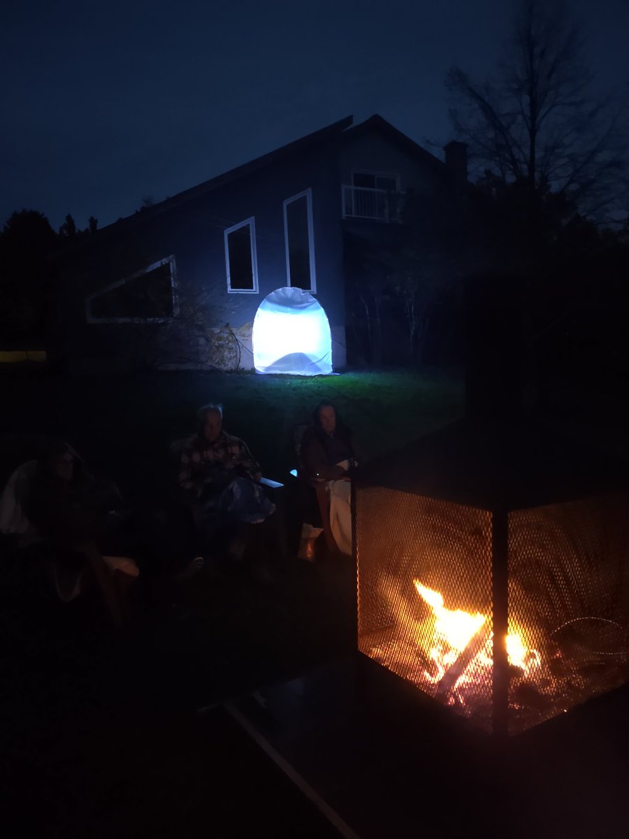 AP_drapic's tweet photo. Joindre l'agréable à l'agréable #moth #lepidoptera #lepiled https://t.co/awXjgkWSbx