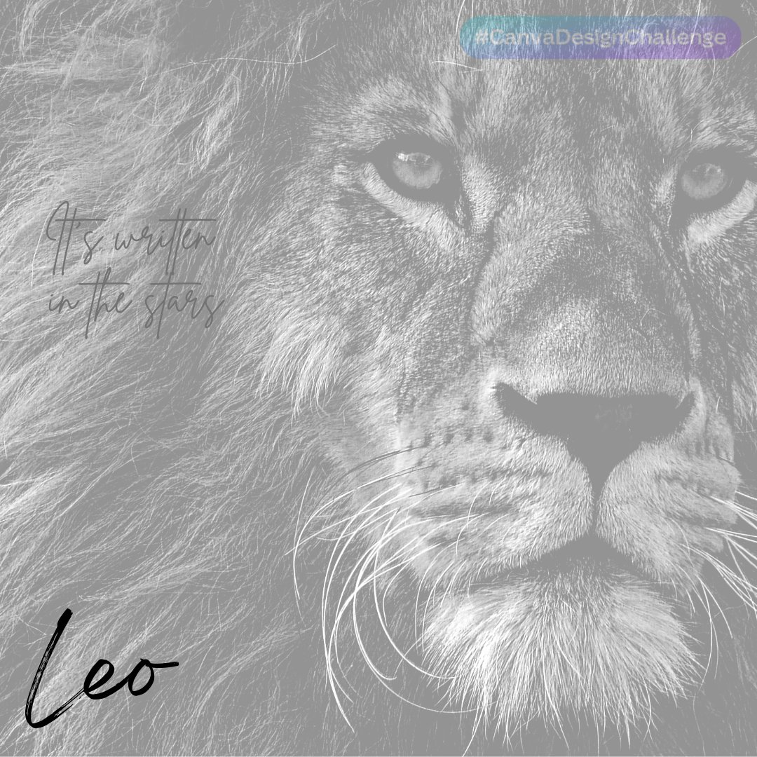 _MissToniMurray's tweet photo. #CanvaDesignChallenge

#Horoscopes

#Leo https://t.co/yCR2T4S5Rj