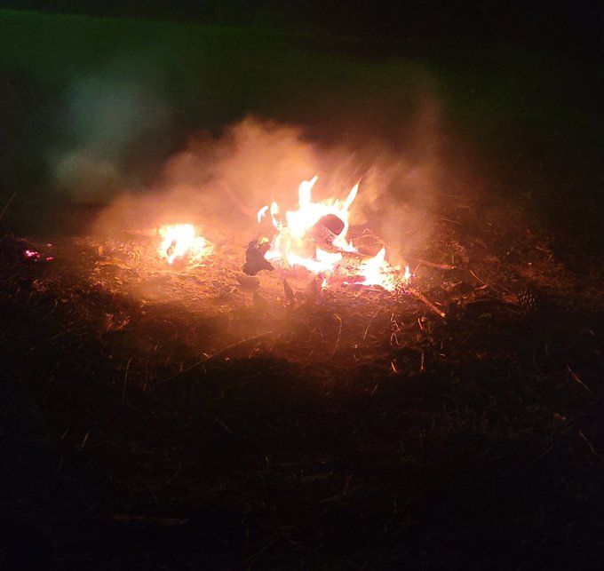 Camping and shrooming - life couldn't get better! https://t.co/Kb1rJgSQUD