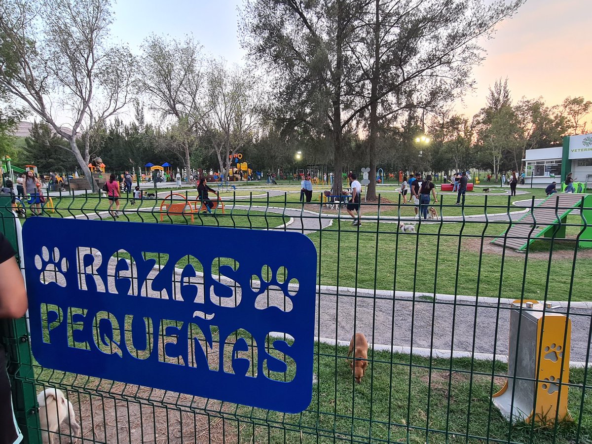 daniela_oaks's tweet photo. Hoy fui al mejor lugar del mundo con @Gabriel94014580 @florenlo y @MaraElenaEspi11 

@PTangamanga https://t.co/SpmB2Kfwjv