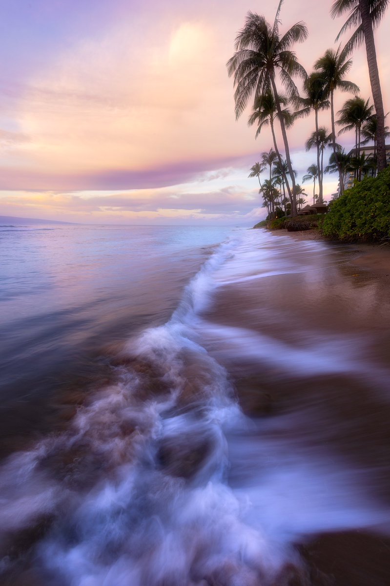 ryanadrift's tweet photo. GN friends💜🏝 https://t.co/SlFnug8FEt