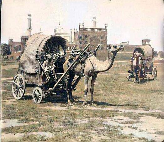 VinoBhojak's tweet photo. ऊंट गाड़ा #Camelcart  दिल्ली, जामा मस्जिद के पूर्व की ओर। 
📷 1903 यू एंड यू अभिलेखागार से।
 
#Delhi #JamaMasjid #India https://t.co/mhx7MfZ4uY