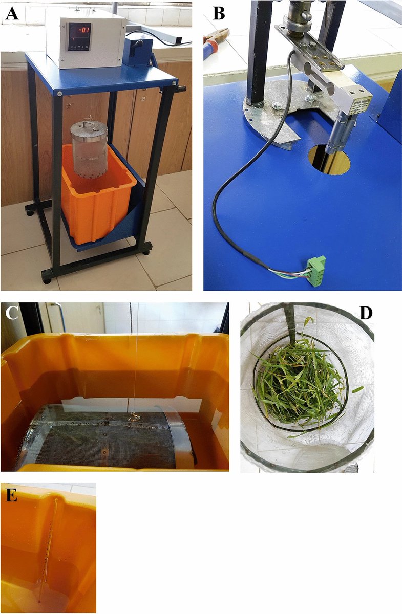 PlantMethods's tweet photo. Accelerating leaf area measurement using a volumetric approach
Full text: https://t.co/c3wyHZYGmD
#LeafArea #PlantScience https://t.co/jxLWRH1KsD