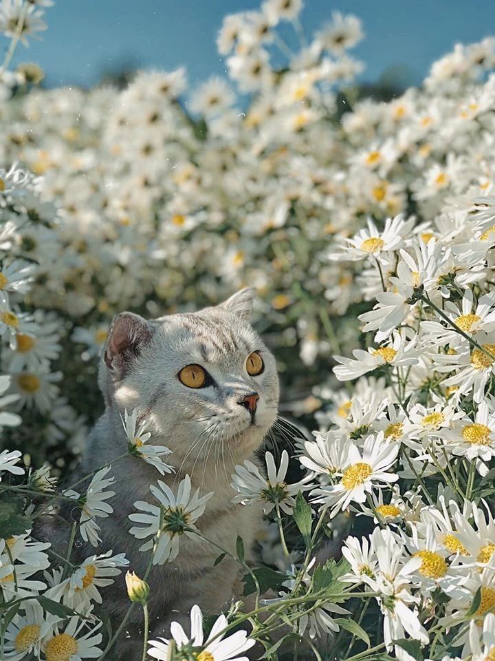 SusiCici1's tweet photo. Planting a Kindness ini any case
Will come back to you 🌹🌸🌹
#goodmorning #happycaturday
#haveaniceday #Beakind
~🌻 stay blessed always 🌻~
https://t.co/4x34zXvKYR
https://t.co/QRU7HIFHu0 https://t.co/3PXV8uDCfm