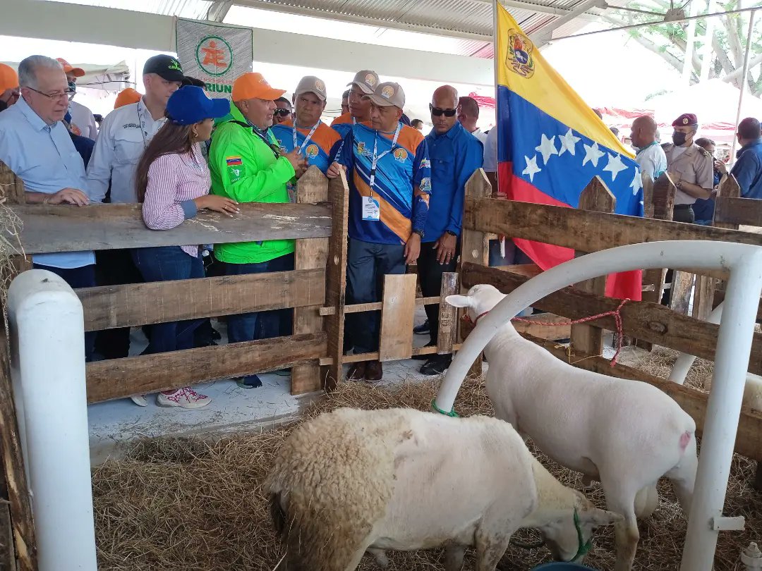 secdespachogob1's tweet photo. #20Mayo || Parque Ferial de Ciudad Bolívar || Implementando las políticas de nuestro Pdte @NicolasMaduro
y Gob @amarcanopsuv se realizó la Inauguración de la I Expoferia Internacional - Ovina Caprina. Bolívar 2022 con el fin de posicionar el estado como potencia agroproductiva https://t.co/EUBkPubZ24