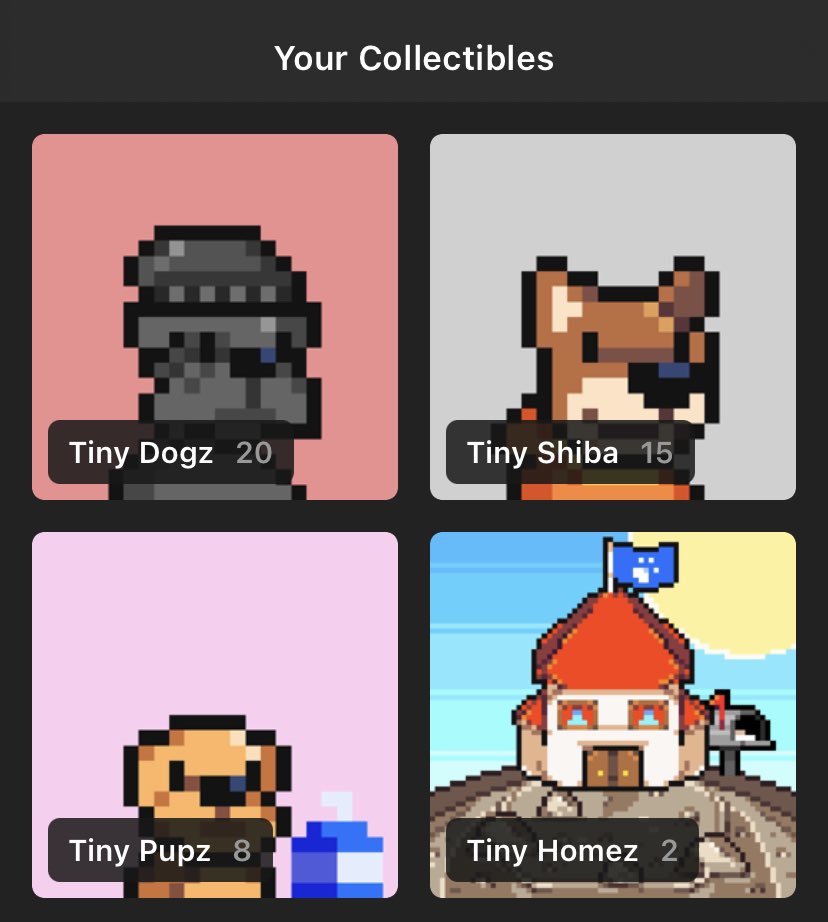 the_HotHam's tweet photo. @TinyDogzNFT @VinceniaNft @TrippyKidzNFT @Suteki_NFT @Nekomata_NFT @ZenjinViperz @RRacoonClub @OakParadiseNFT @GreatGoatsNFT @BunniesNHomies @SeaShantiesSol @DefiPirates #StayTiny🤏 https://t.co/EbHih9Lpuo