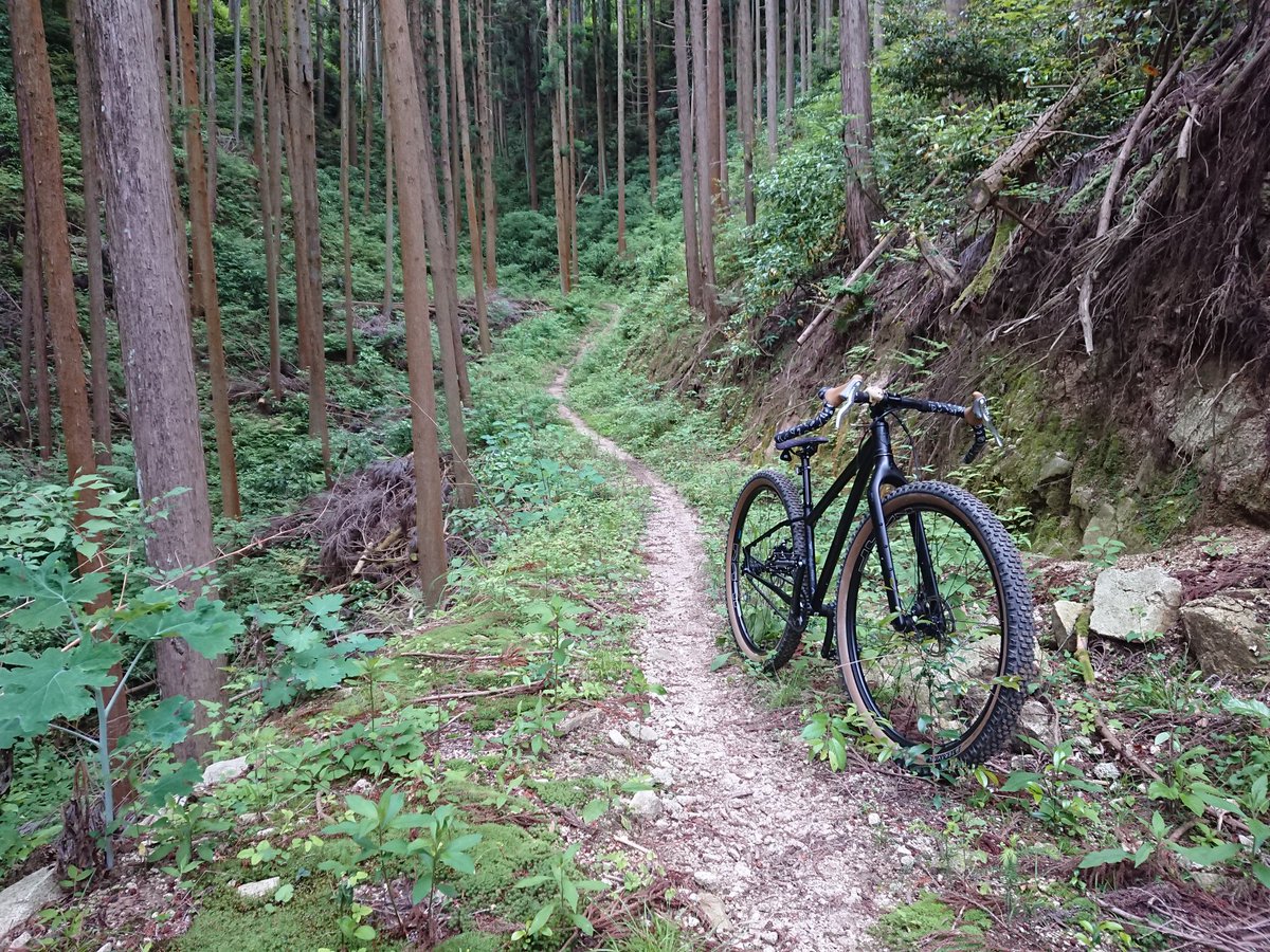 norizou_biker's tweet photo. 本日も大ゴケする事も無く、楽しくお山の中で戯れさせて頂きましたぁ😊
しかし、あの侵食は相変わらずやなぁ😆
#salsafargo
#singlespeed
#singlespeedmtb
#ssmtb https://t.co/G2aQNflF4f