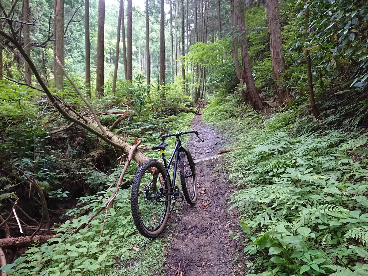norizou_biker's tweet photo. 本日も大ゴケする事も無く、楽しくお山の中で戯れさせて頂きましたぁ😊
しかし、あの侵食は相変わらずやなぁ😆
#salsafargo
#singlespeed
#singlespeedmtb
#ssmtb https://t.co/G2aQNflF4f