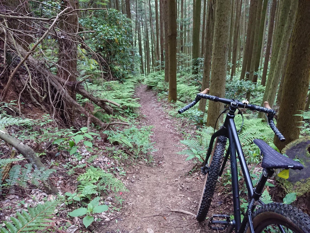 norizou_biker's tweet photo. 本日も大ゴケする事も無く、楽しくお山の中で戯れさせて頂きましたぁ😊
しかし、あの侵食は相変わらずやなぁ😆
#salsafargo
#singlespeed
#singlespeedmtb
#ssmtb https://t.co/G2aQNflF4f