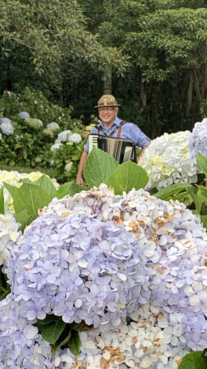 Un tour /sabroso/ en la Colonia Tovar... instagram.com/p/CdvOUgaObna/…