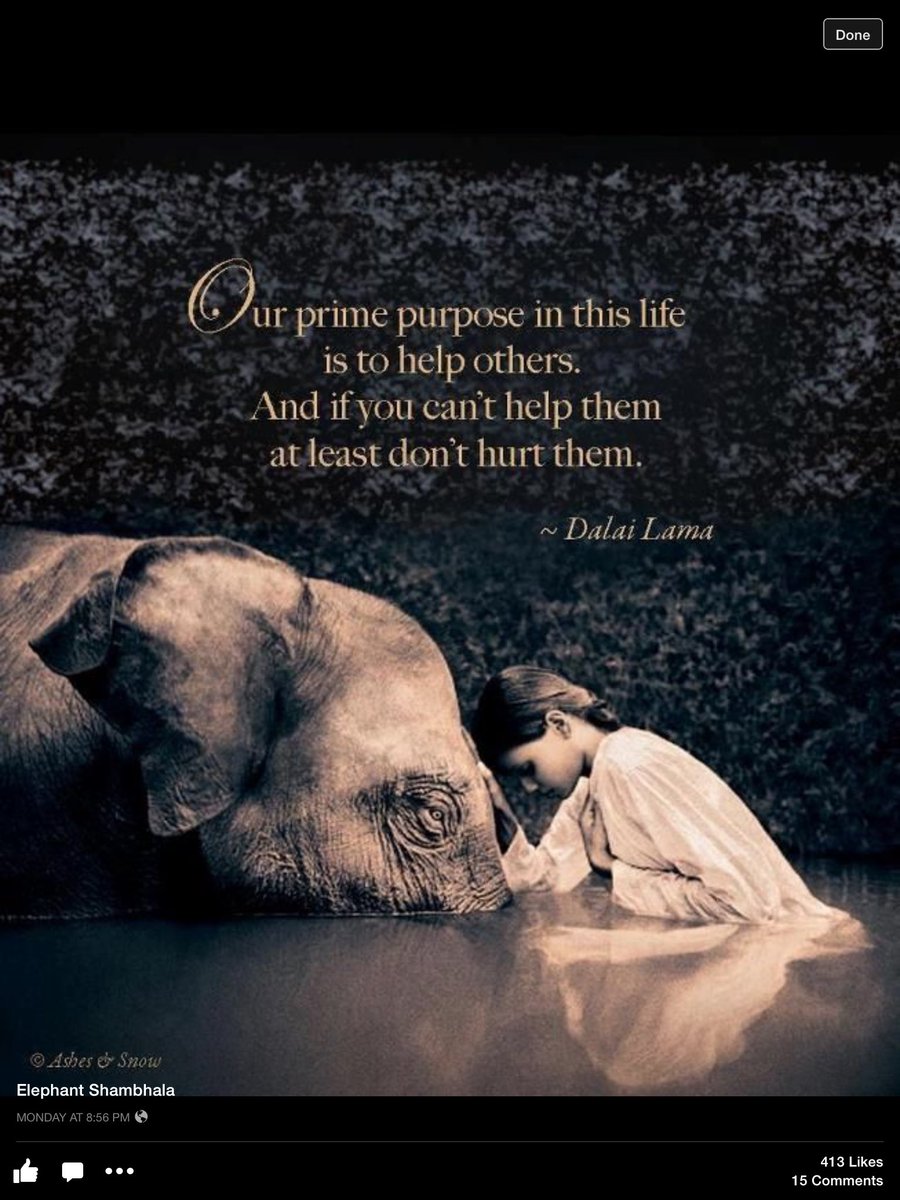 Forcedtodefend2's tweet photo. 💖💙🐾🐾 https://t.co/m4d9YzhdfK