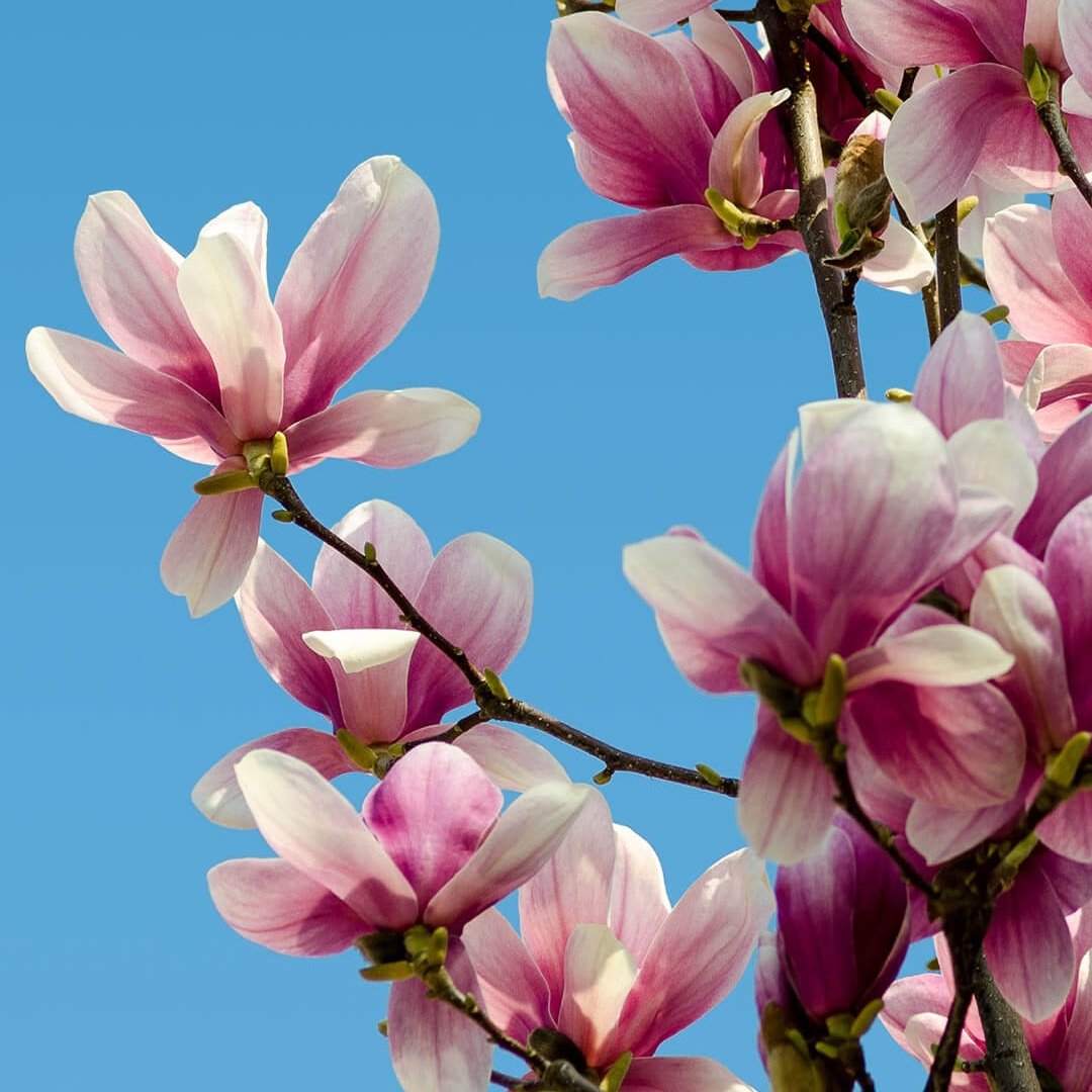 #صورة_ملف_شخصي_جديدة