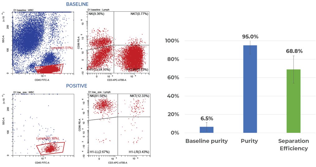 AppliedCells's tweet photo. Our new MARS® Bar system enables a new generation of large scale, magnetic CD56+ #cellisolation technology for separation of #Apheresis, #Leukopaks, Whole Blood or #BoneMarrow cell products with >95% purity. #MARSsystem
Read the full app note here ⬇️: https://t.co/JZpLhyJjba https://t.co/DNljic5xXf