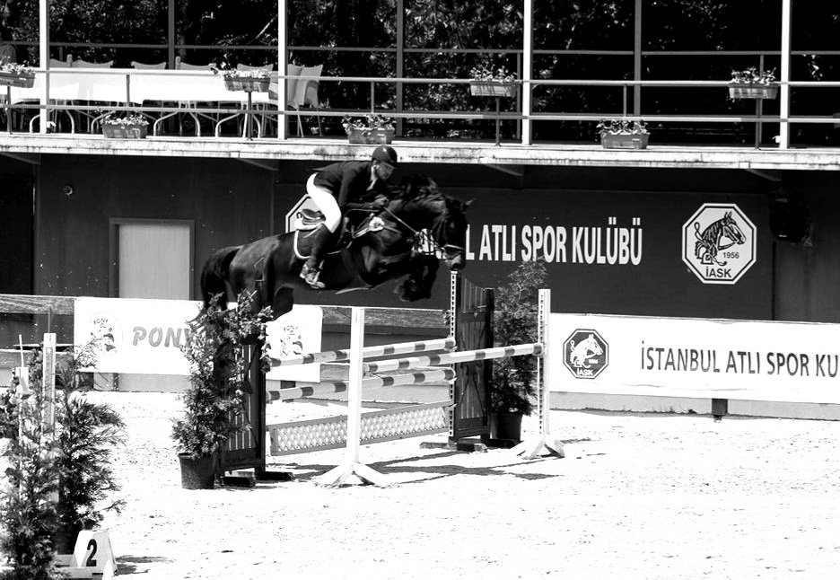 Küstürdünüz. 'Güzel insanlar güzel atlara binip gittiler. '