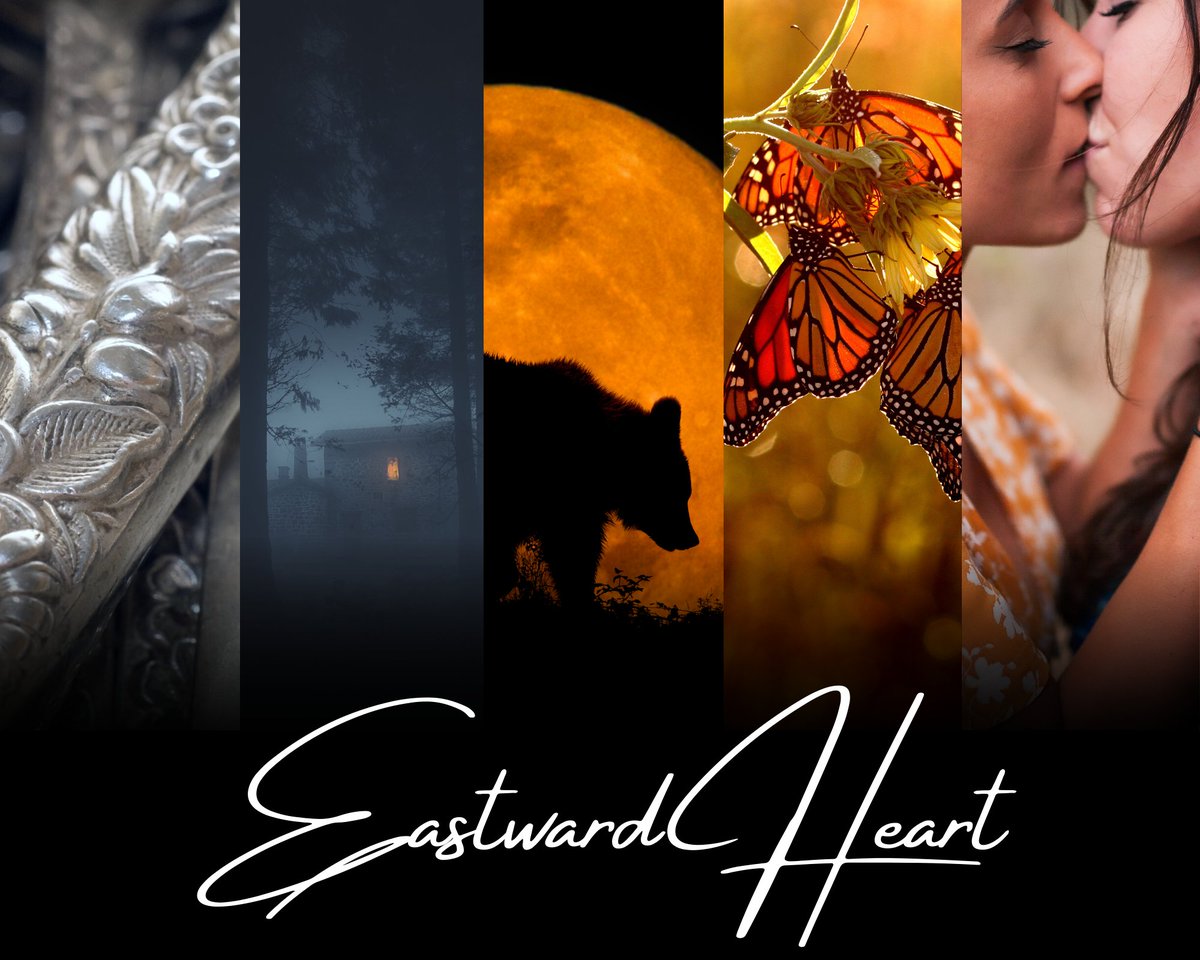 DDandDAuthor's tweet photo. NA/A Sapphic Dieselpunk Fantasy Romance
A young butterfly Fae who is unaware of her royal lineage is kidnapped to the magical world she was born in, and placed directly into the fight for the Monarch Butterfly Fae King's throne...and her heart.
#cfpit https://t.co/BE92sbp1Sz