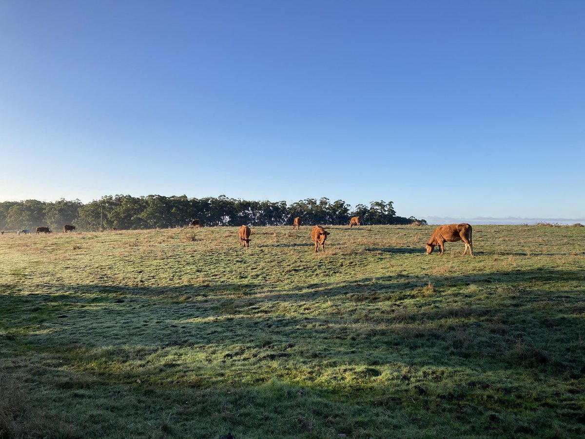 YallournNorth's tweet photo. #GodsCountry #ThisIsYallournNorth https://t.co/WQWTHyI0kI