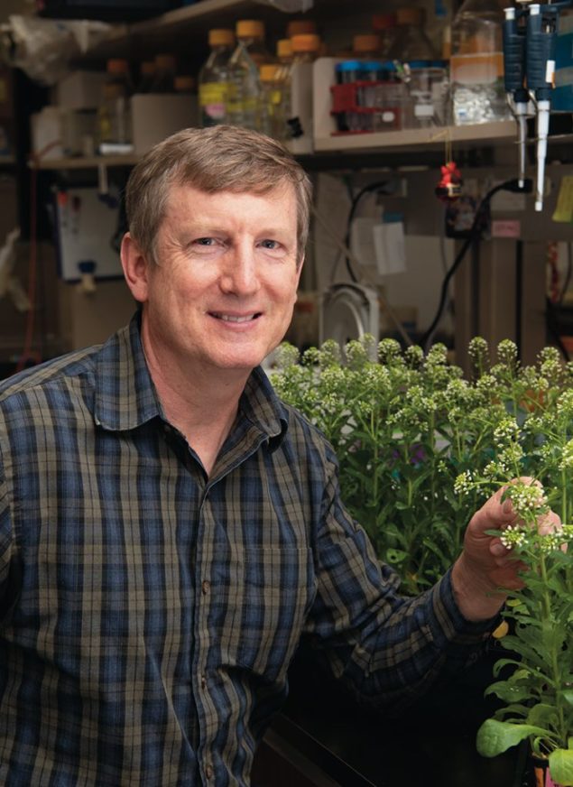 CoverCress's tweet photo. Check out the CoverCress crop benefits as identified by the Illinois State University Farm! We're grateful for our continued collaboration on the Integrated Pennycress Research Enabling Farm and Energy Resilience project (#IPREFER). #covercrops
https://t.co/OTK0c3t6lq ) https://t.co/uJCVATKHum