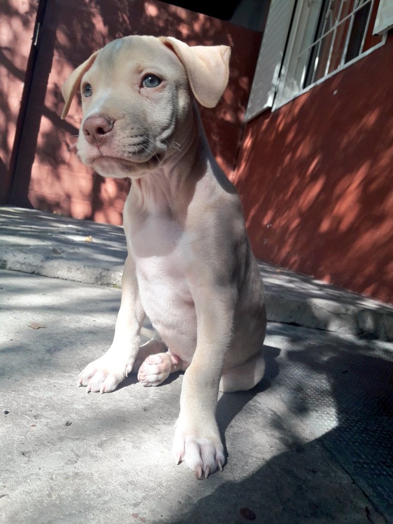 tefiipsl's tweet photo. Mi bebito 💖 https://t.co/lWnbxTKIq9