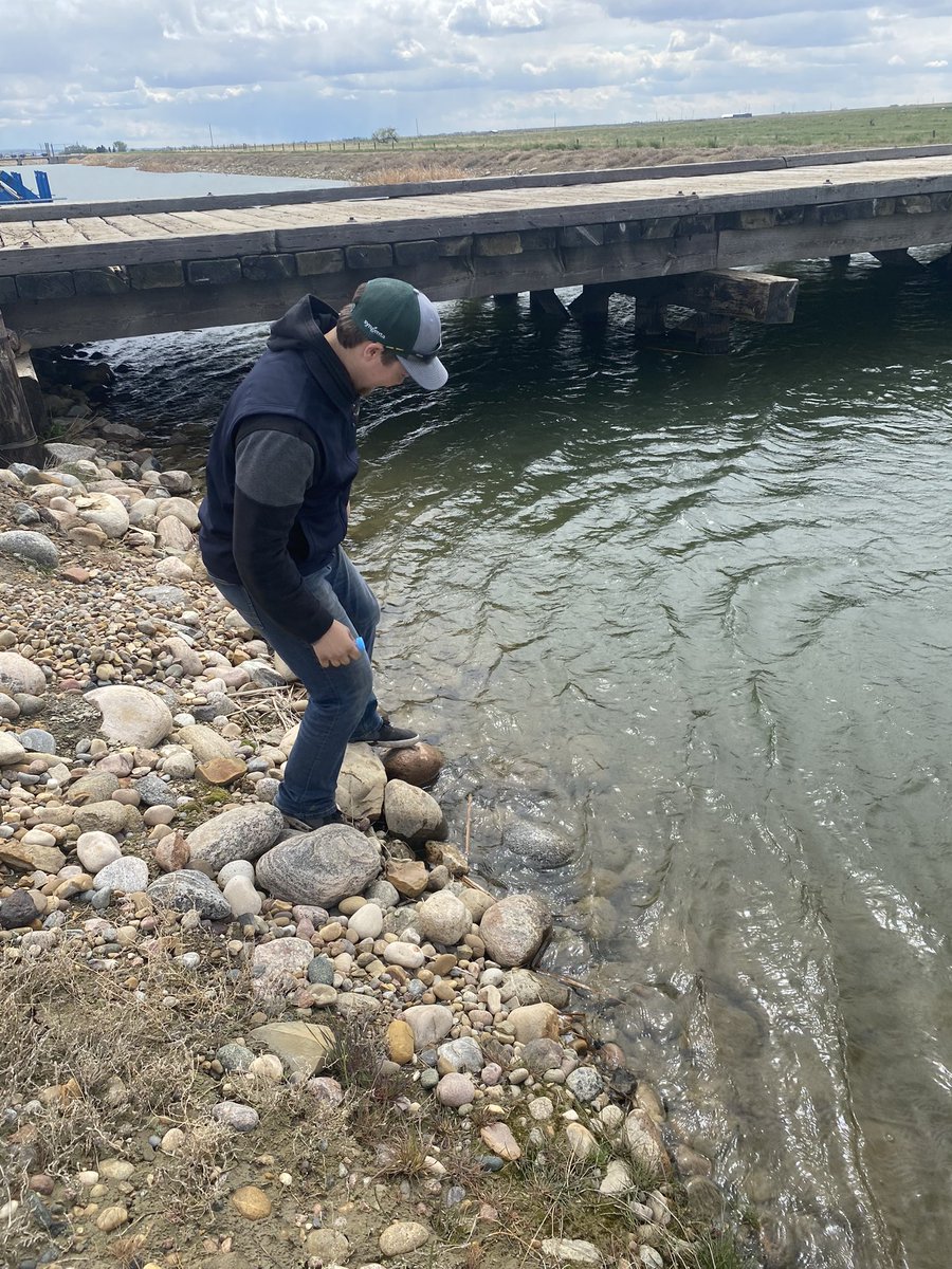 JosephB47729852's tweet photo. Just finished my first action challenge in the Winfield United Agronomist &amp; Intern Training Program!                Today I had taken my first water sample and sent it off to Winkler Manitoba for testing.                      
#WestCdnAg #WUCacademy @MikeR_MedHat @WinFieldCanada https://t.co/cwV26E4qC0