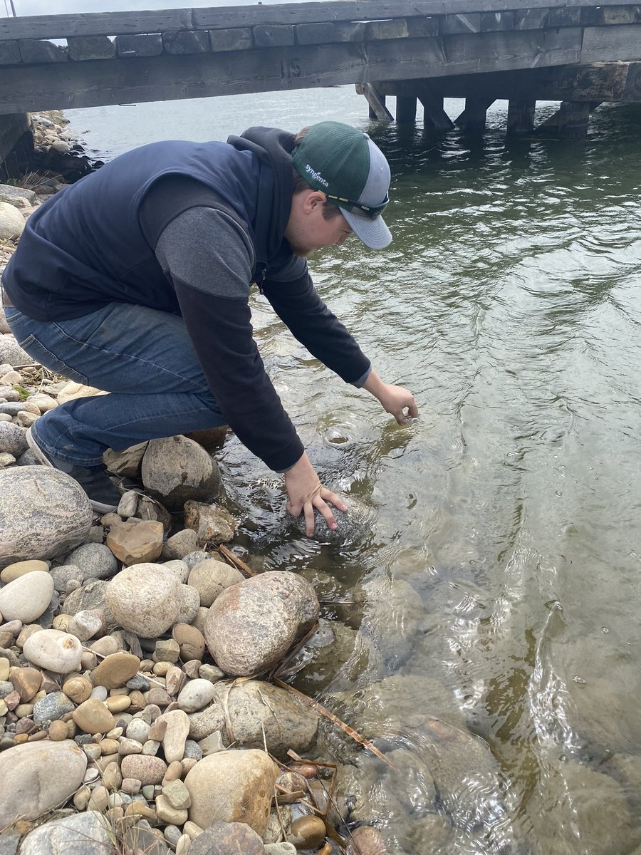 JosephB47729852's tweet photo. Just finished my first action challenge in the Winfield United Agronomist &amp; Intern Training Program!                Today I had taken my first water sample and sent it off to Winkler Manitoba for testing.                      
#WestCdnAg #WUCacademy @MikeR_MedHat @WinFieldCanada https://t.co/cwV26E4qC0