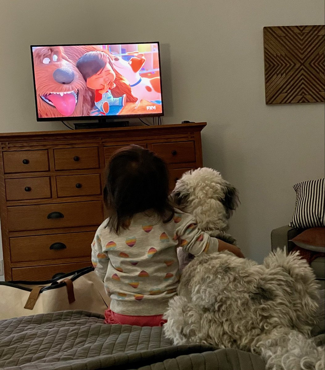 FraterJeff's tweet photo. Nothing political, or witty, or informative.   Just my grand baby and our dog watching Secret Lives of Pets together. https://t.co/aVs0L6ytGl