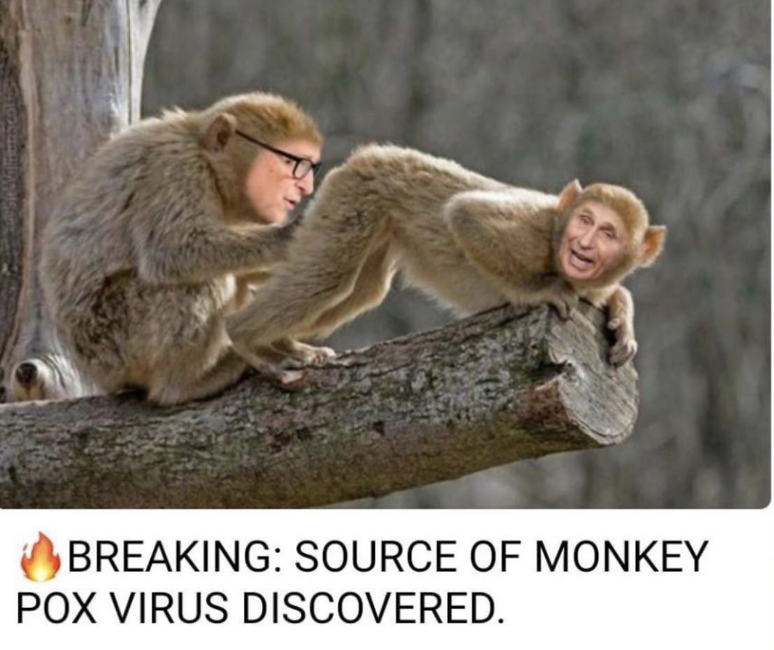 Приколы про шефа